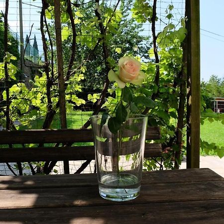 In Collina B&B Trento Eksteriør bilde